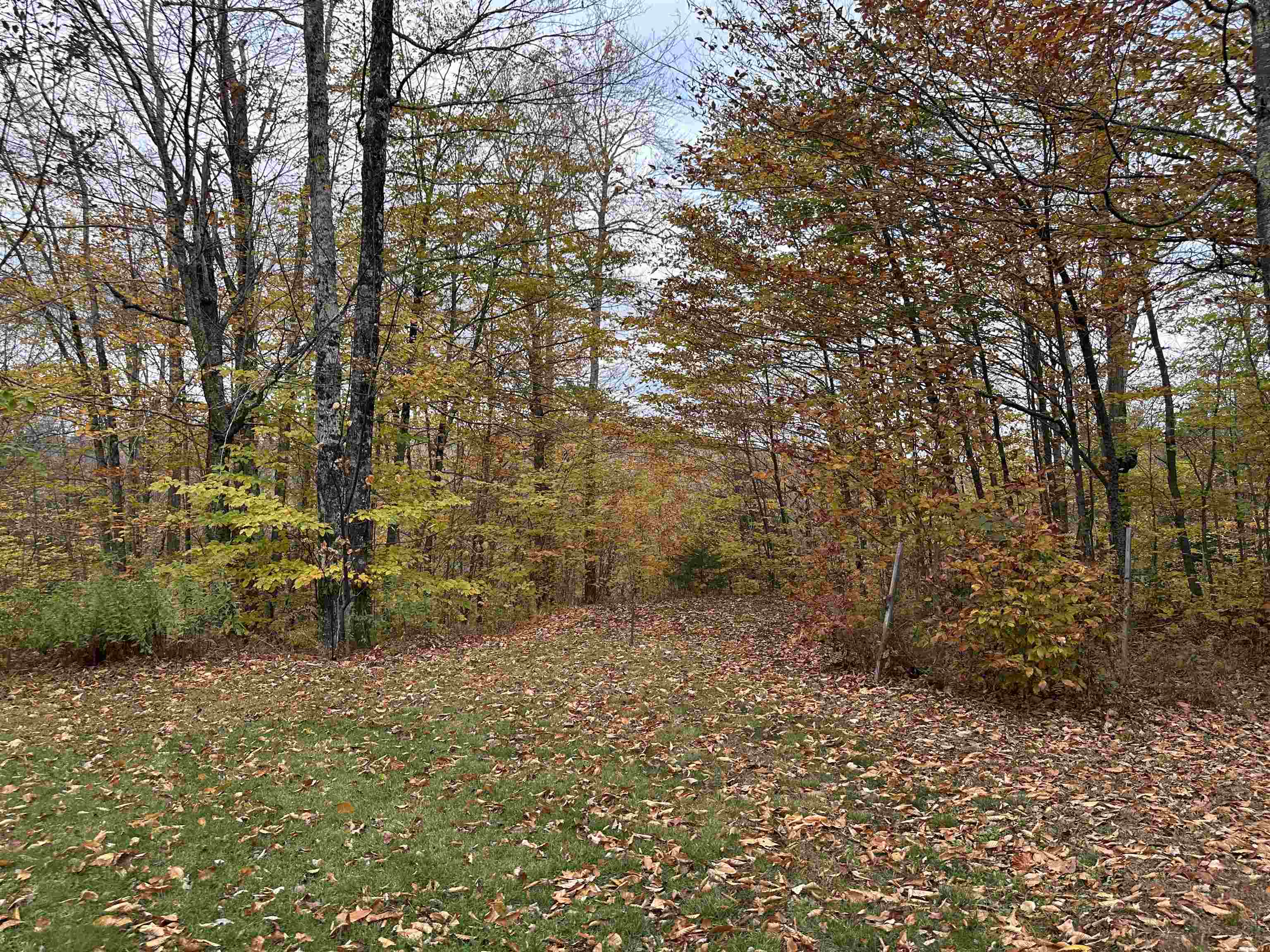 344 Hemlock Lane Ripton, VT 05766 - Photo 29 of 29