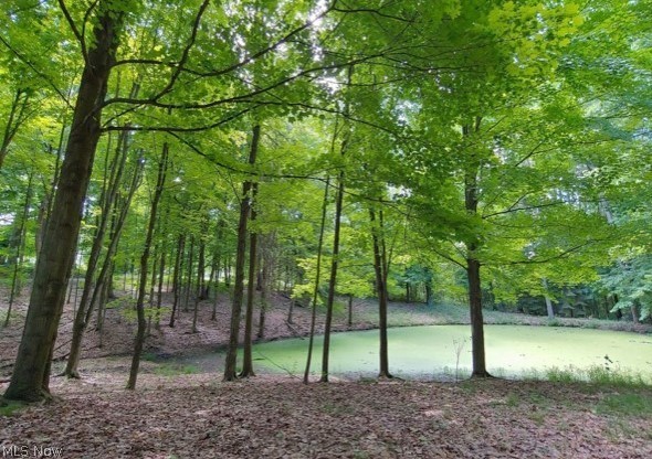 Kinsman Ridge Kinsman, OH 44428 - Photo 9 of 17 Gallery Image 9