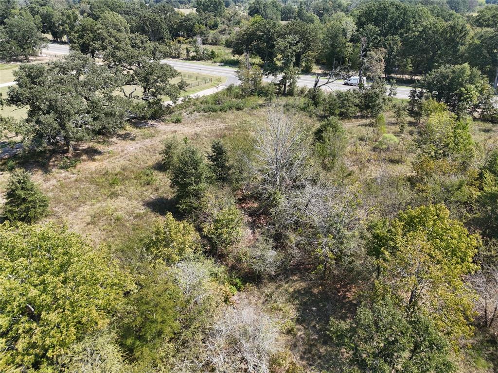 13 Highway 37 Talco, TX 75487 - Photo 11 of 14 a view of a yard with a tree