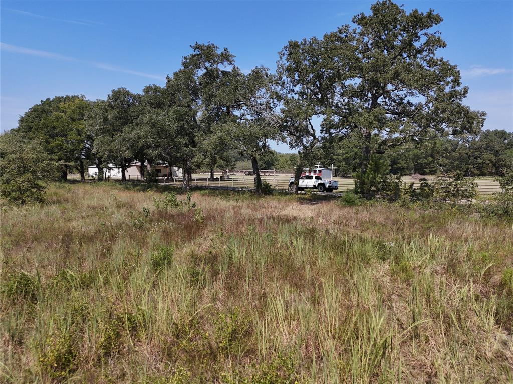 13 Highway 37 Talco, TX 75487 - Photo 2 of 14 a view of a yard with a tree