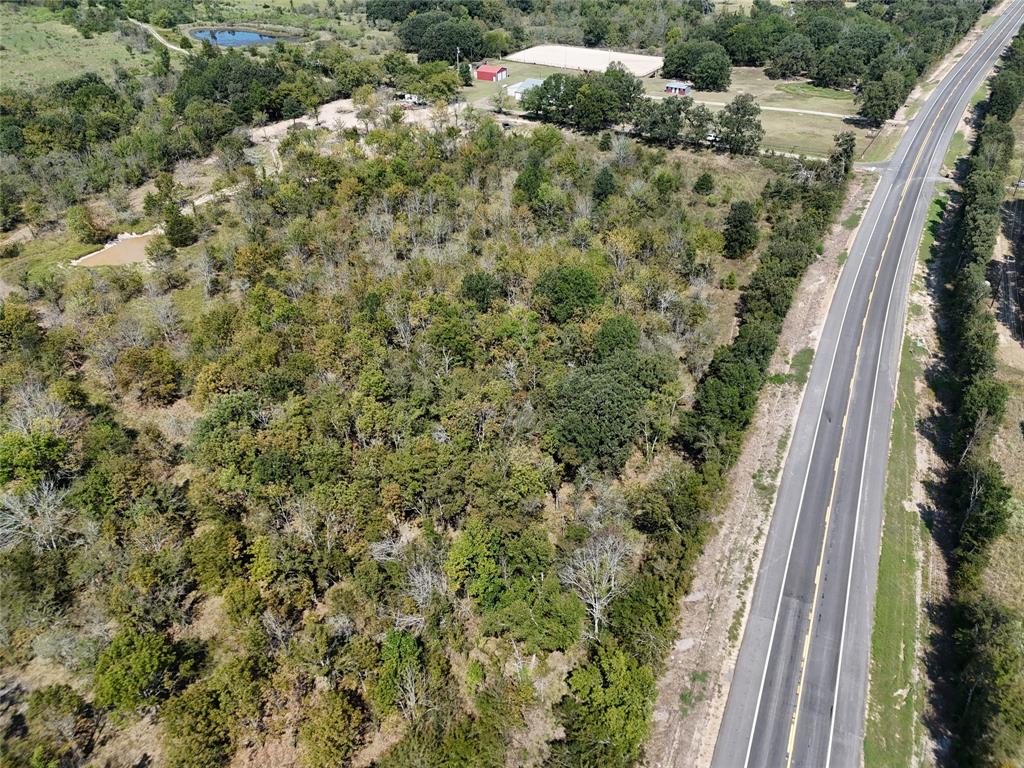 13 Highway 37 Talco, TX 75487 - Photo 4 of 14 a view of a yard with plants and large trees