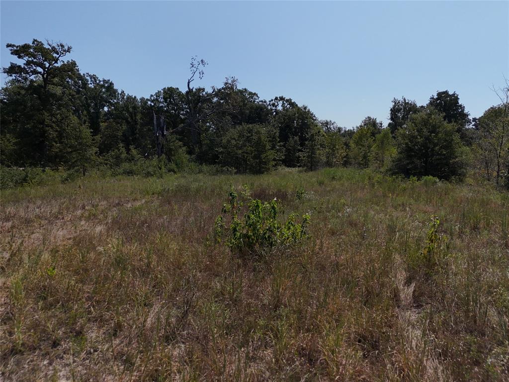 13 Highway 37 Talco, TX 75487 - Photo 8 of 14 a view of a field of grass and trees