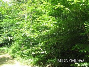 370 Donovan Road Salisbury Center, NY 13454 - Photo 7 of 9 Gallery Image 7