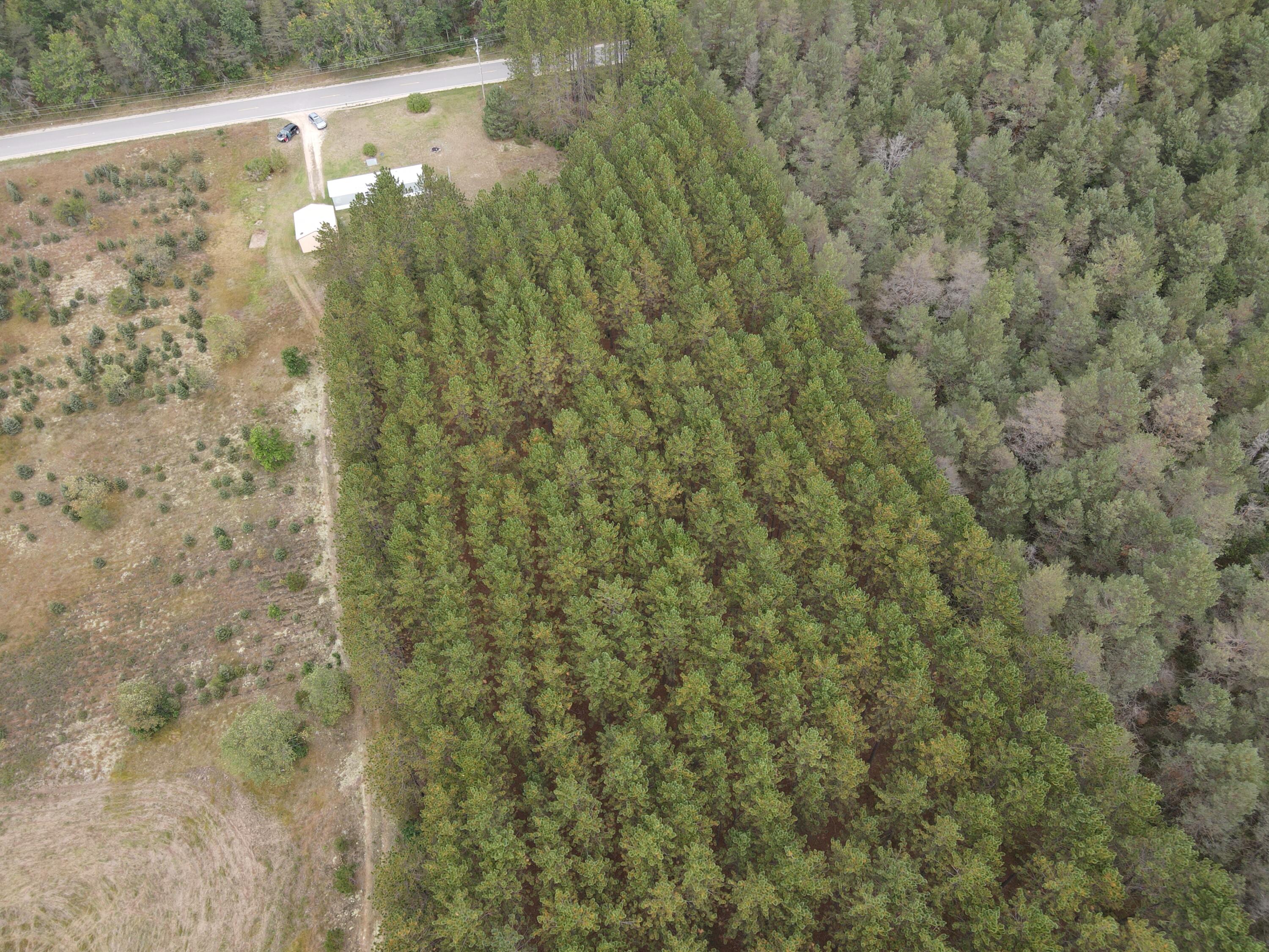 9541 Pine Road Marion, MI 49665 - Photo 11 of 30 Photo_1080296107_DJI_683_jpg_7667710_0_2