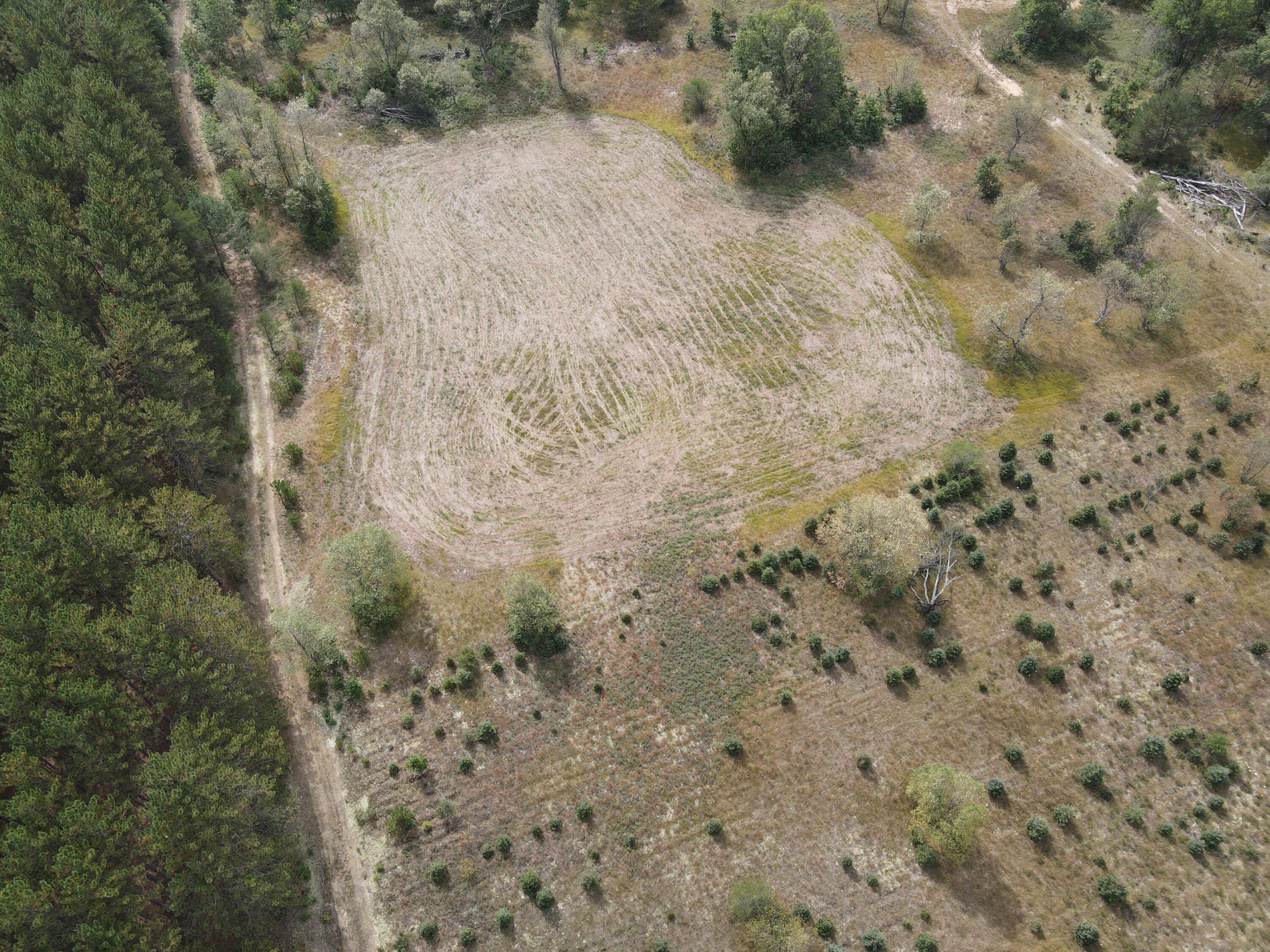 9541 Pine Road Marion, MI 49665 - Photo 15 of 30 Photo_1080296105_DJI_681_jpg_7807964_0_2