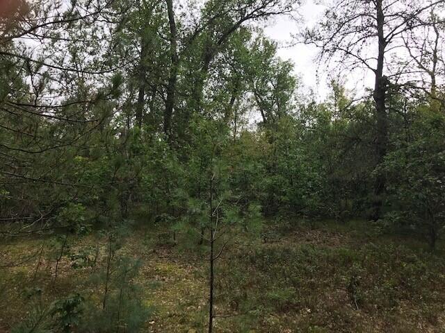 9541 Pine Road Marion, MI 49665 - Photo 28 of 30 shep 19