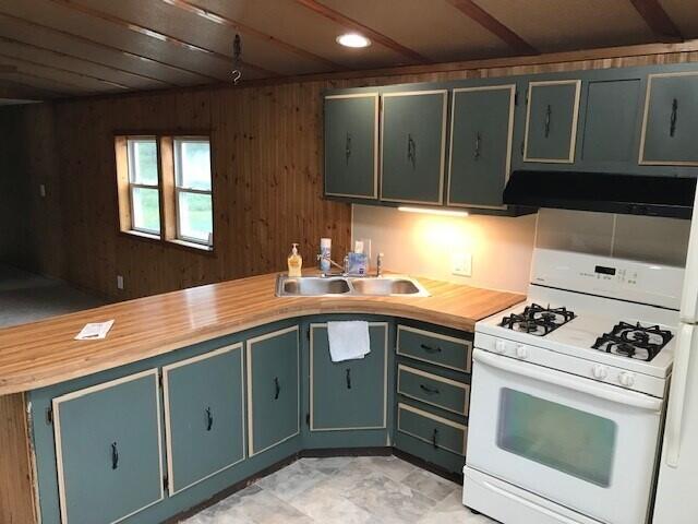9541 Pine Road Marion, MI 49665 - Photo 5 of 30 shep 8