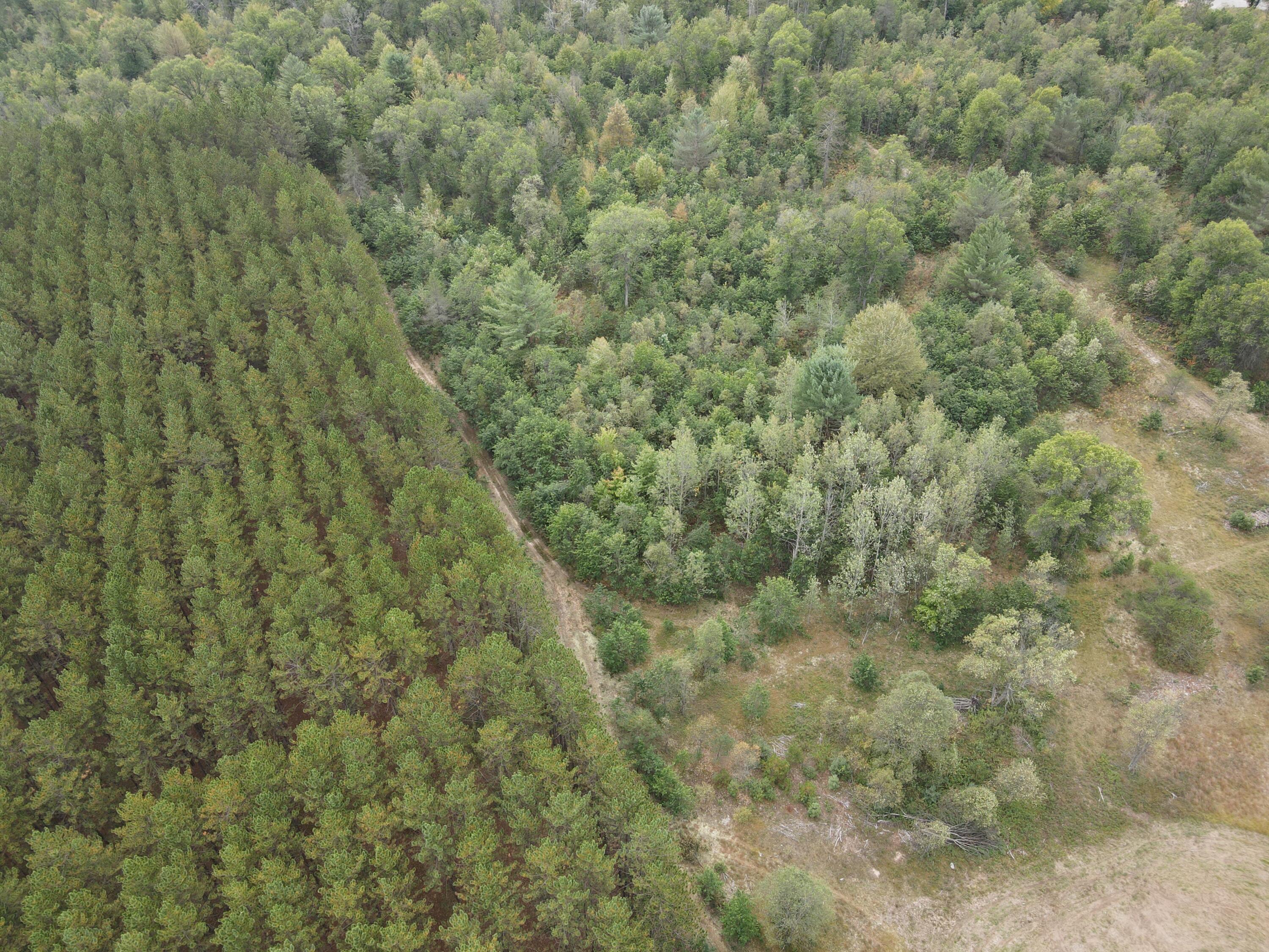 9541 Pine Road Marion, MI 49665 - Photo 8 of 30 Photo_1080296108_DJI_684_jpg_8147995_0_2