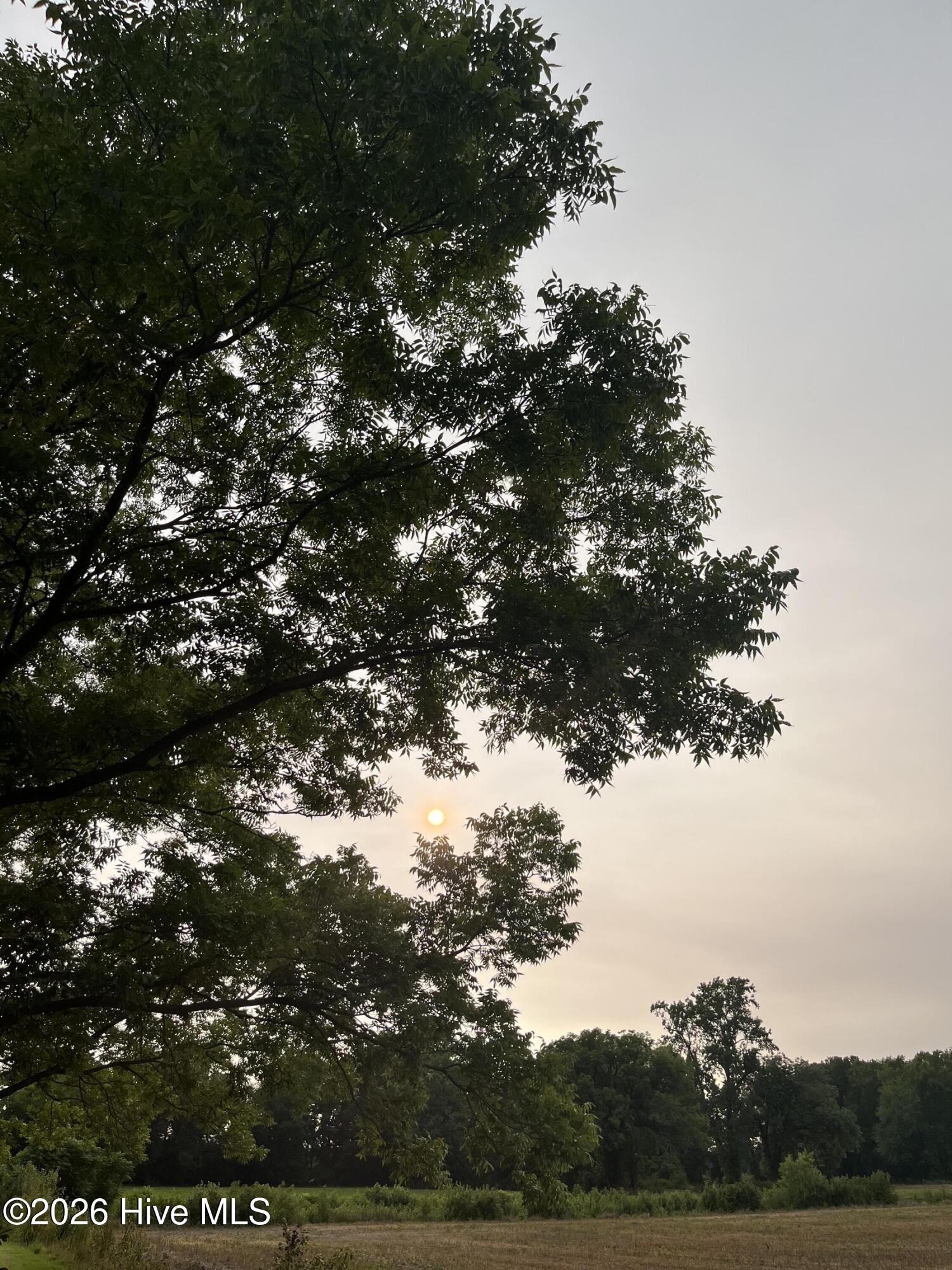 3091 Hudsons Crossroads Road Greenville, NC 27858 - Photo 7 of 22