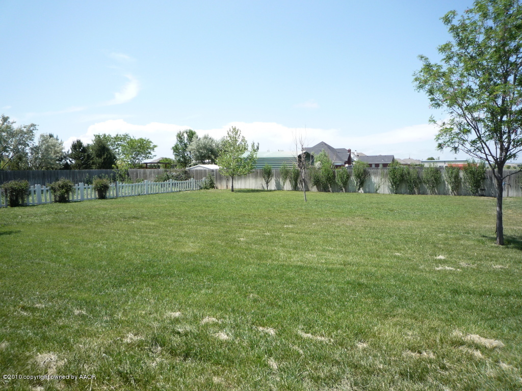 8950 Red Wing Road Amarillo, TX 79119 - Photo 26 of 29 a view of field with trees in the background