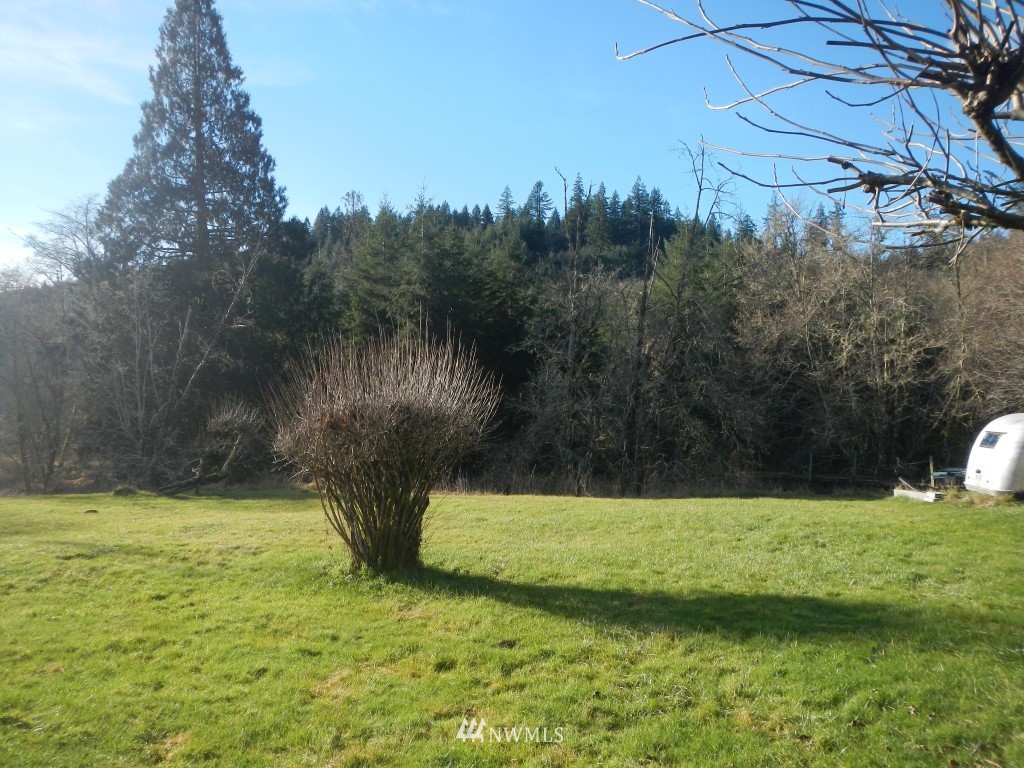 445 Deep Creek Road Chehalis, WA 98522 - Photo 11 of 17
