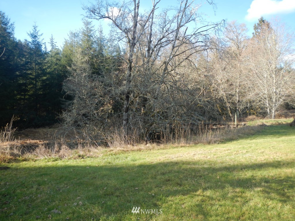445 Deep Creek Road Chehalis, WA 98522 - Photo 12 of 17