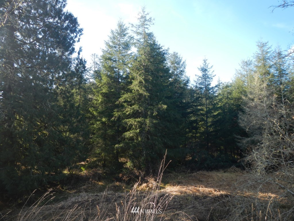 445 Deep Creek Road Chehalis, WA 98522 - Photo 14 of 17