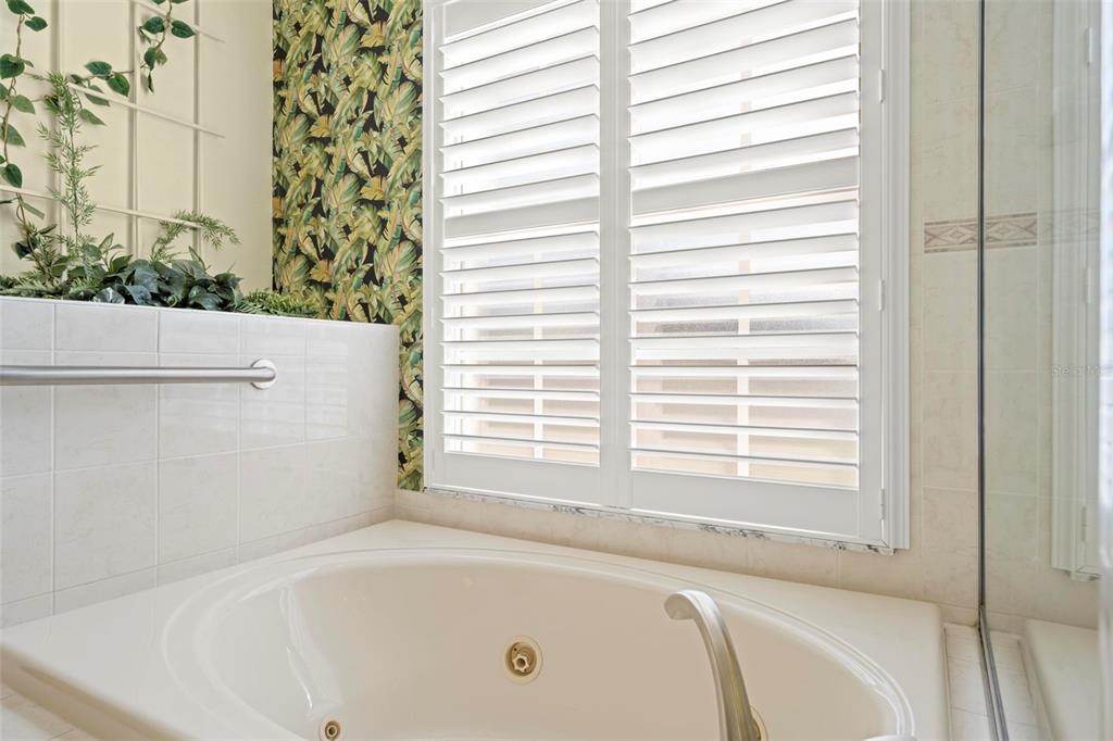 332 McIntosh Court Spring Hill, FL 34609 - Photo 37 of 54 a bathroom with bathtub next to a window