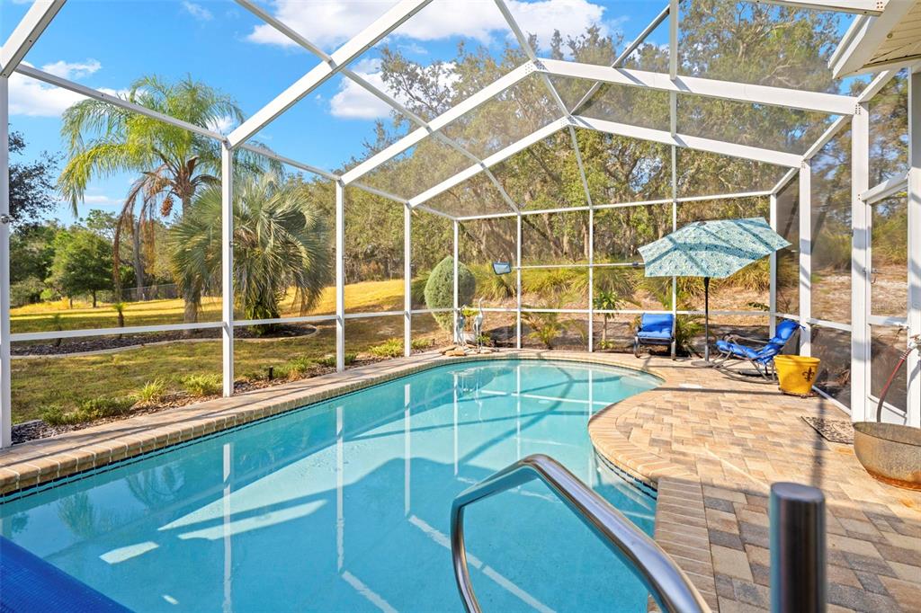 332 McIntosh Court Spring Hill, FL 34609 - Photo 53 of 54 a view of a swimming pool with a patio and a yard