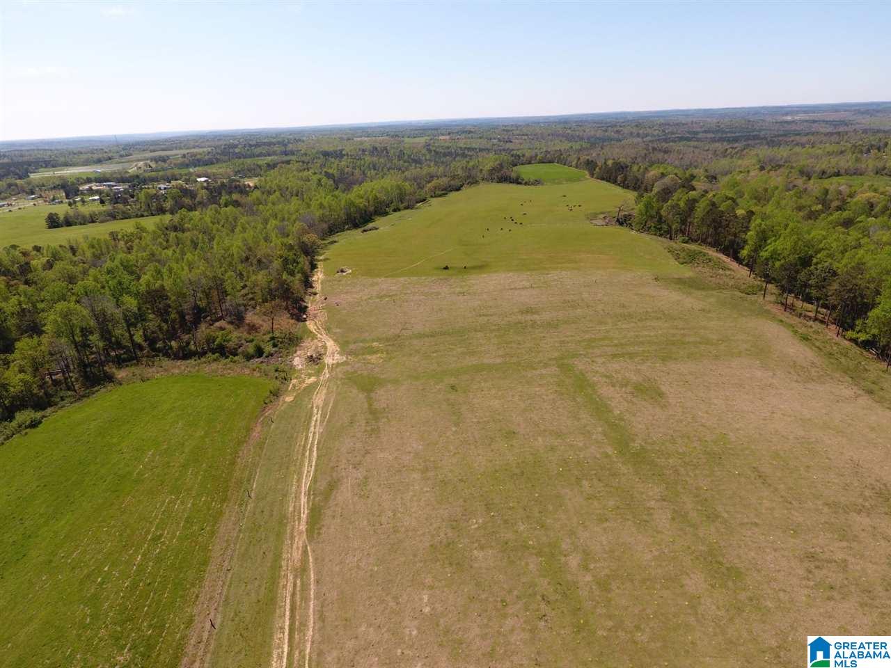 0 County Road 30, Unit 1 Clanton, AL 35045 - Photo 18 of 32