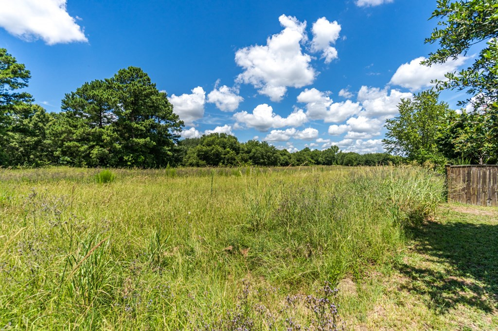 1654 Ruger Drive Sumter, SC 29150 - Photo 27 of 29