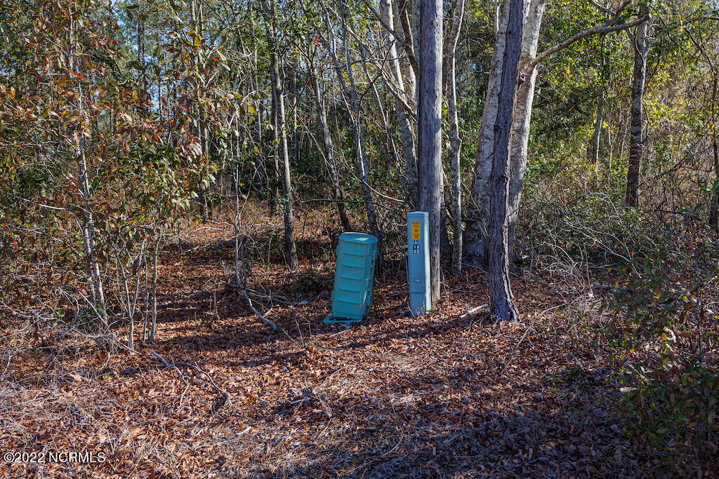 0 Bricklanding Road Southwest Shallotte, NC 28470 - Photo 19 of 25 19