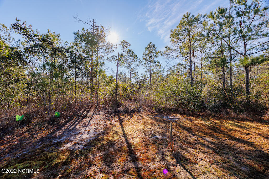 0 Bricklanding Road Southwest Shallotte, NC 28470 - Photo 20 of 25 20