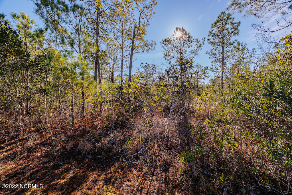 0 Bricklanding Road Southwest Shallotte, NC 28470 - Photo 22 of 25 22