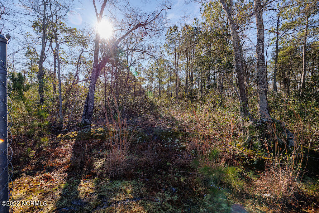0 Bricklanding Road Southwest Shallotte, NC 28470 - Photo 23 of 25 23