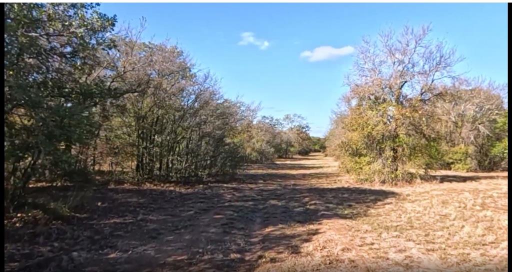 905 Ballew Springs Road Weatherford, TX 76088 - Photo 34 of 40 a view of mountain view with trees