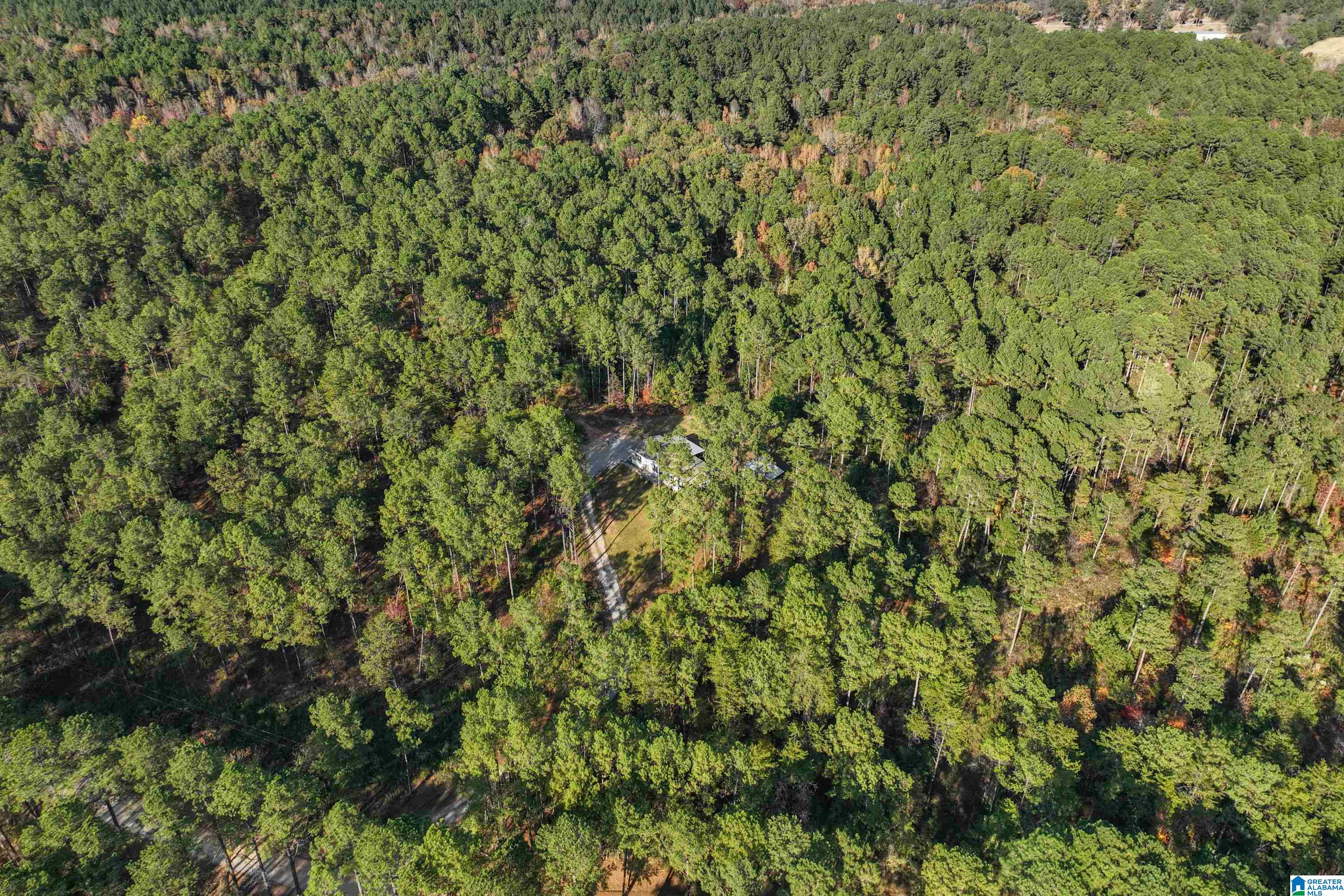 203 Gould Road Columbiana, AL 35051 - Photo 44 of 56