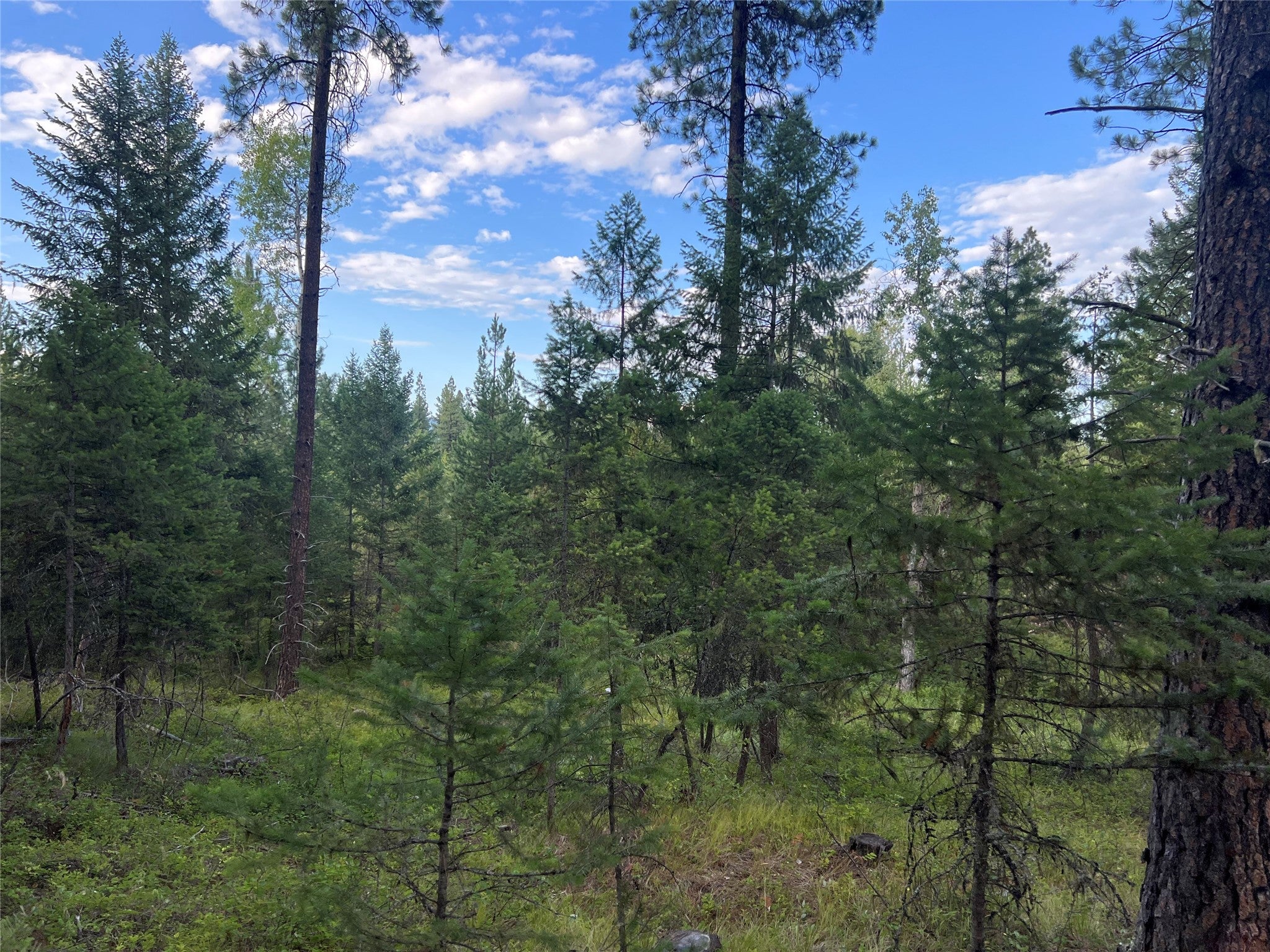 Tbd Granite Lake Road, Unit 6 Libby, MT 59923 - Photo 1 of 6 Gallery Image 1