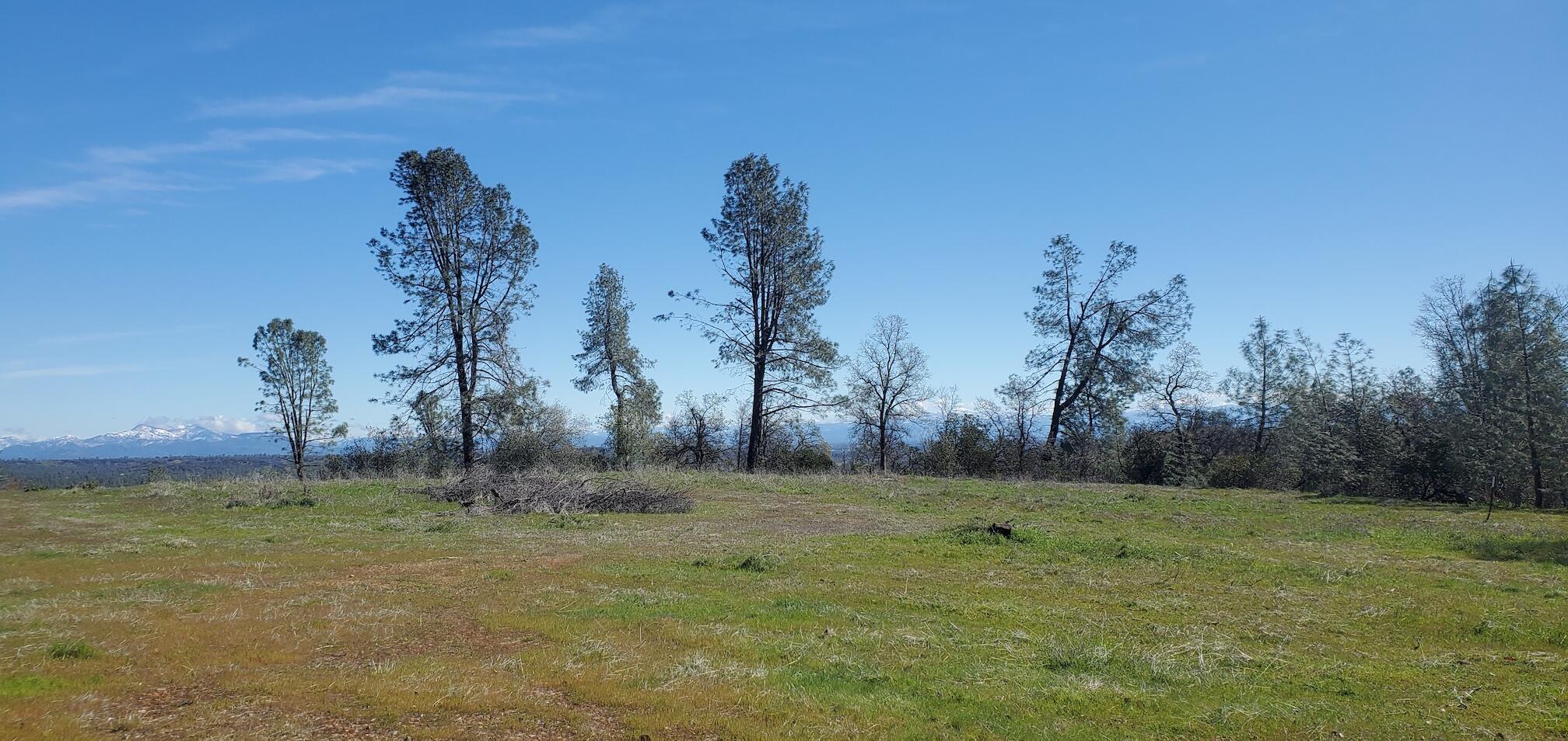 3.97-acres Renshaw Lane Anderson, CA 96007 - Photo 12 of 18 20230330_110026