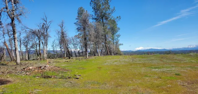 $295,000 | 3.97-acres Renshaw Lane, Anderson, CA 96007