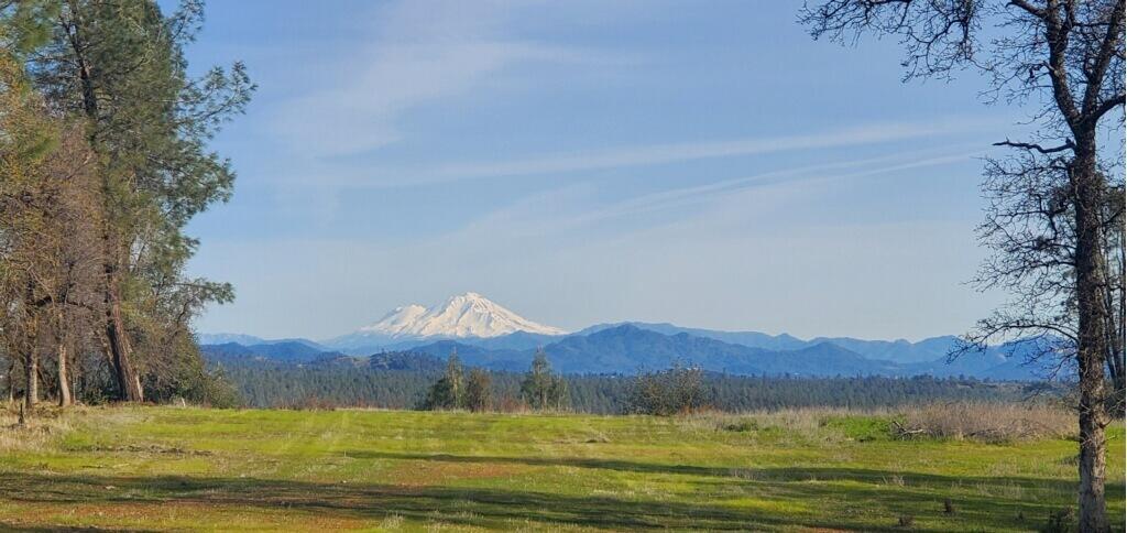 3.97-acres Renshaw Lane Anderson, CA 96007 - Photo 2 of 18 imagejpeg_0