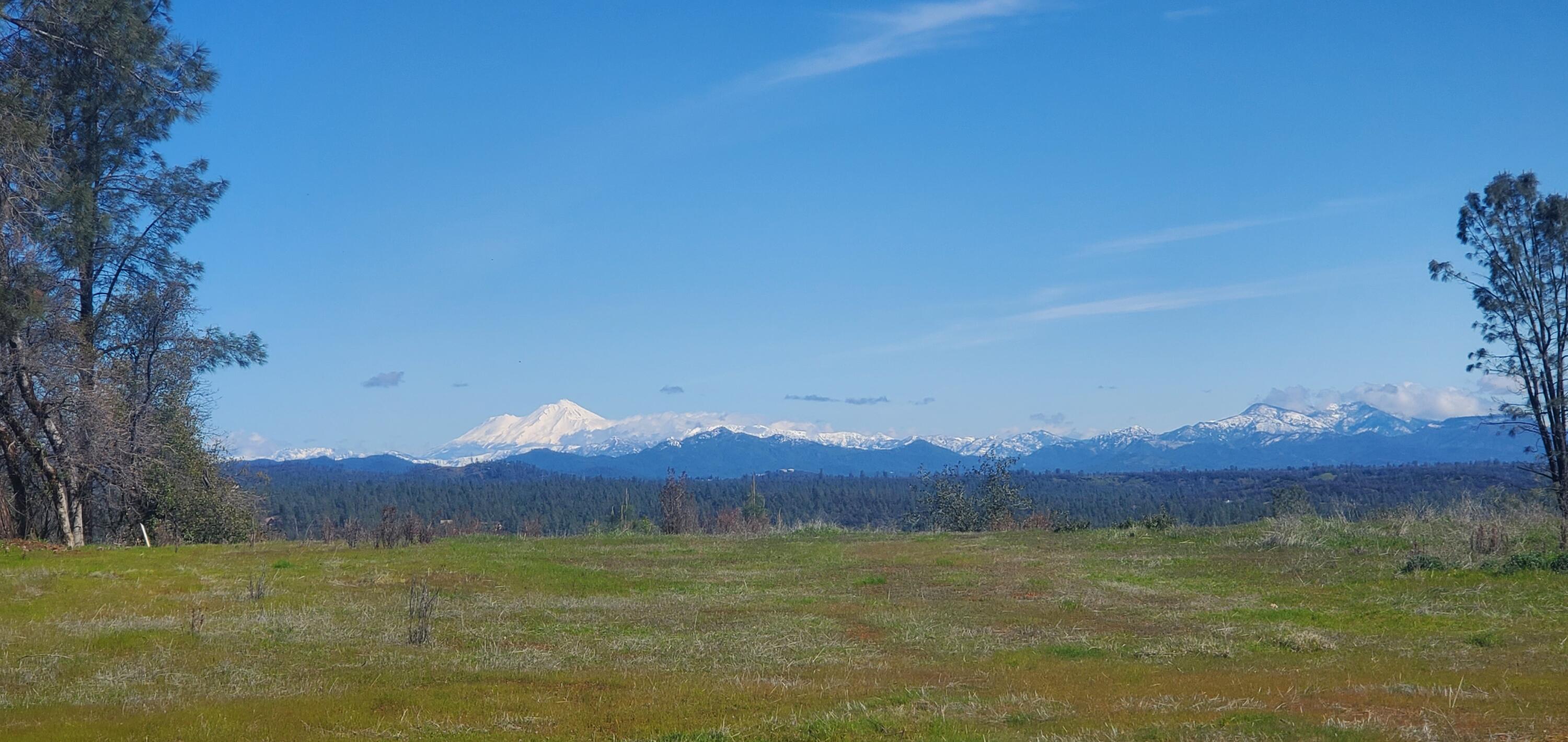 3.97-acres Renshaw Lane Anderson, CA 96007 - Photo 3 of 18 20230330_110041