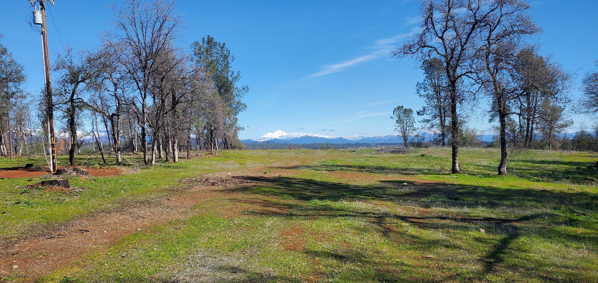 3.97-acres Renshaw Lane Anderson, CA 96007 - Photo 10 of 18 20230330_105934