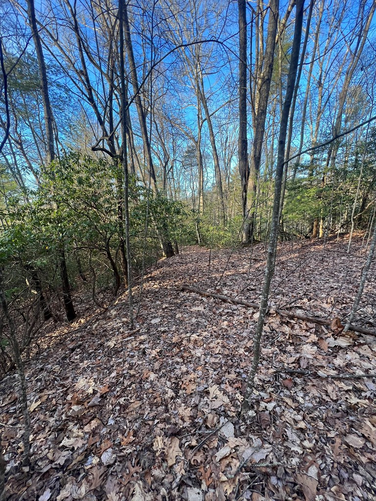 0 Lauren Road Murphy, NC 28906 - Photo 3 of 20 Gallery Image 3
