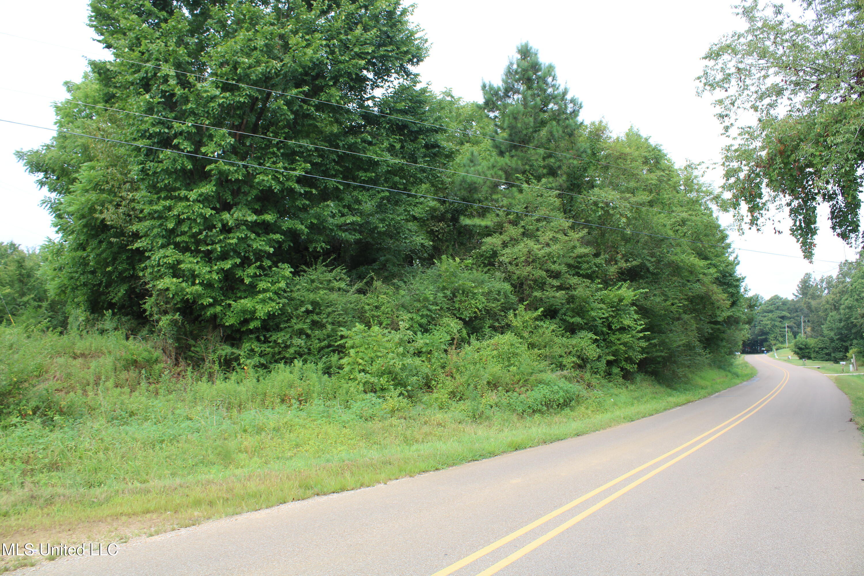 0 Edwards Road Byhalia, MS 38611 - Photo 11 of 27 IMG_6368