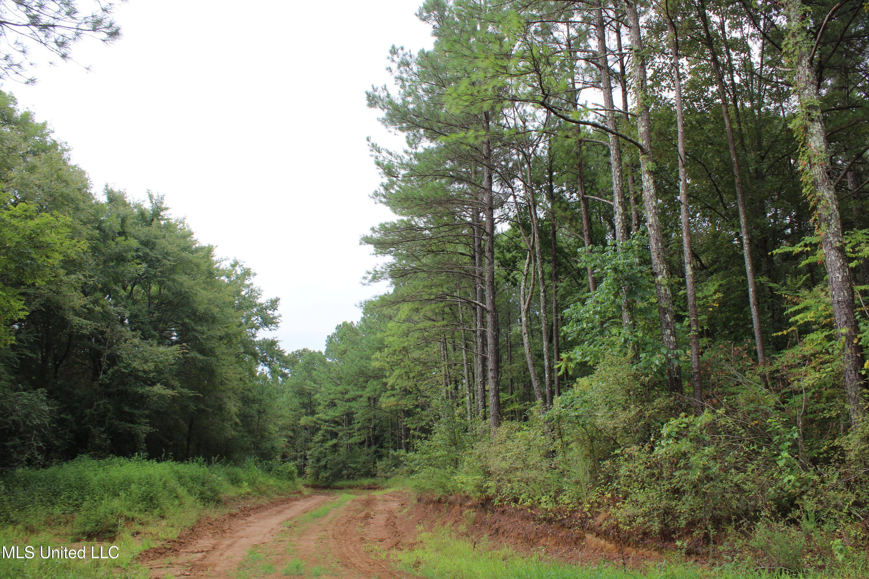 0 Edwards Road Byhalia, MS 38611 - Photo 16 of 27 IMG_6373
