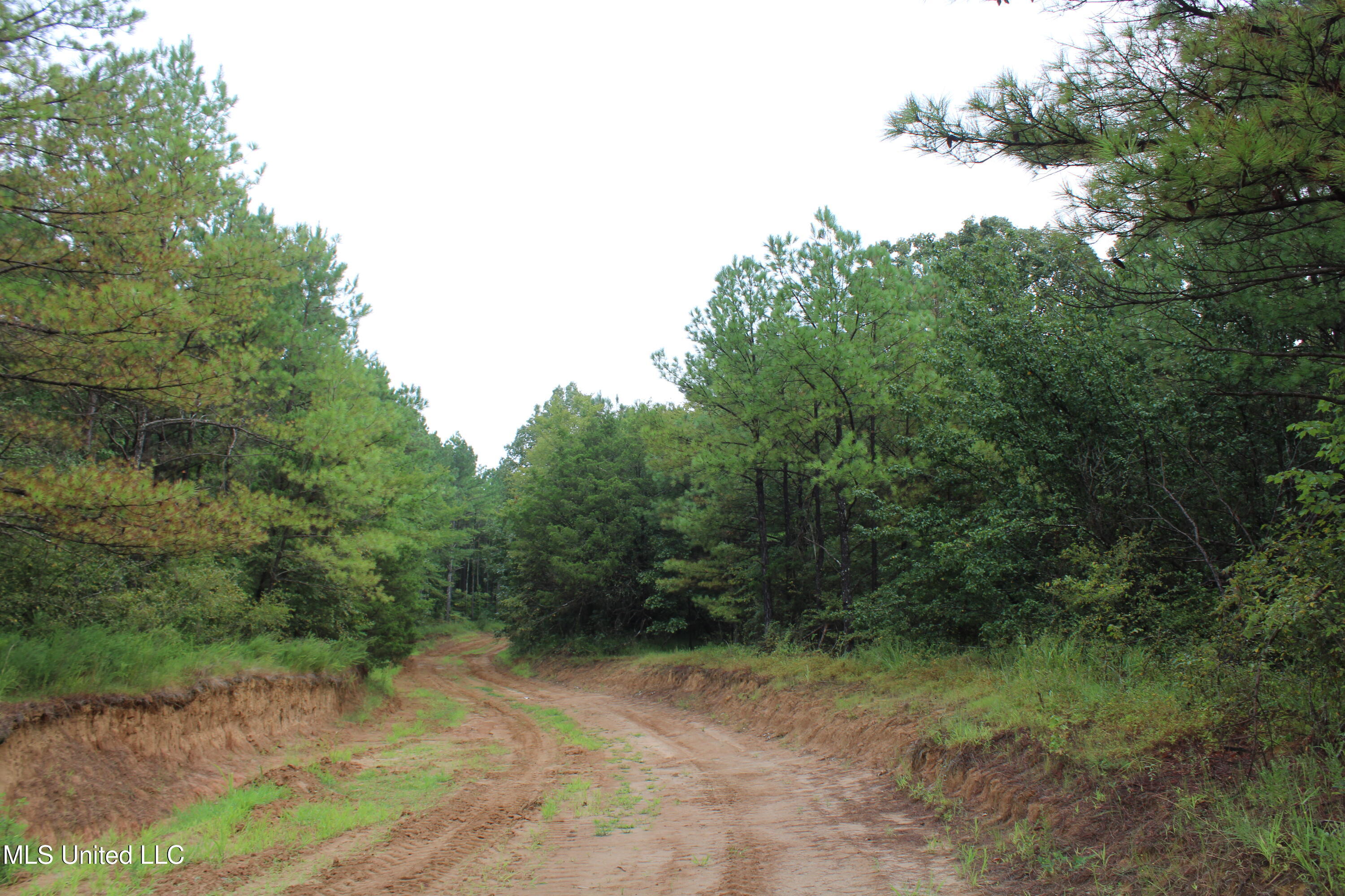 0 Edwards Road Byhalia, MS 38611 - Photo 20 of 27 IMG_6378
