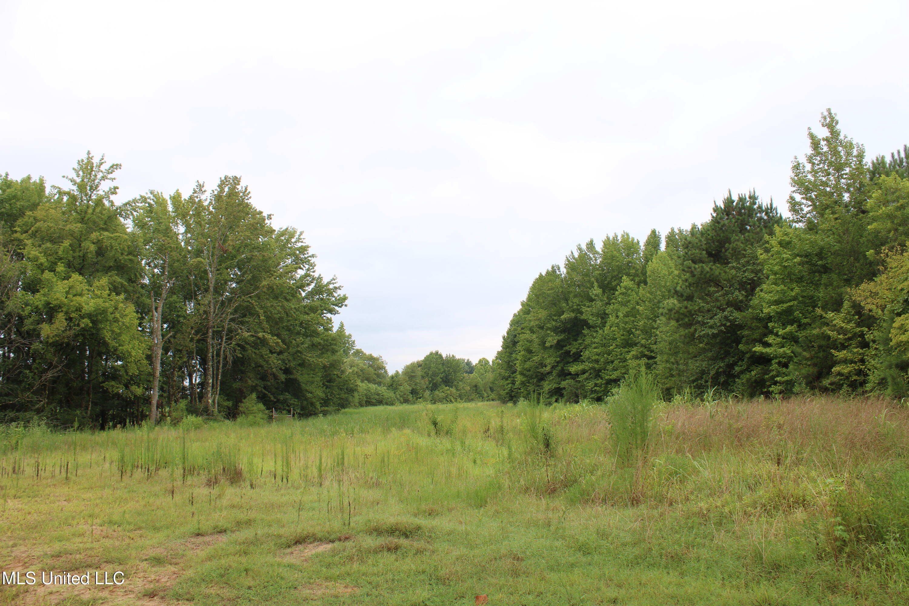 0 Edwards Road Byhalia, MS 38611 - Photo 21 of 27 IMG_6379