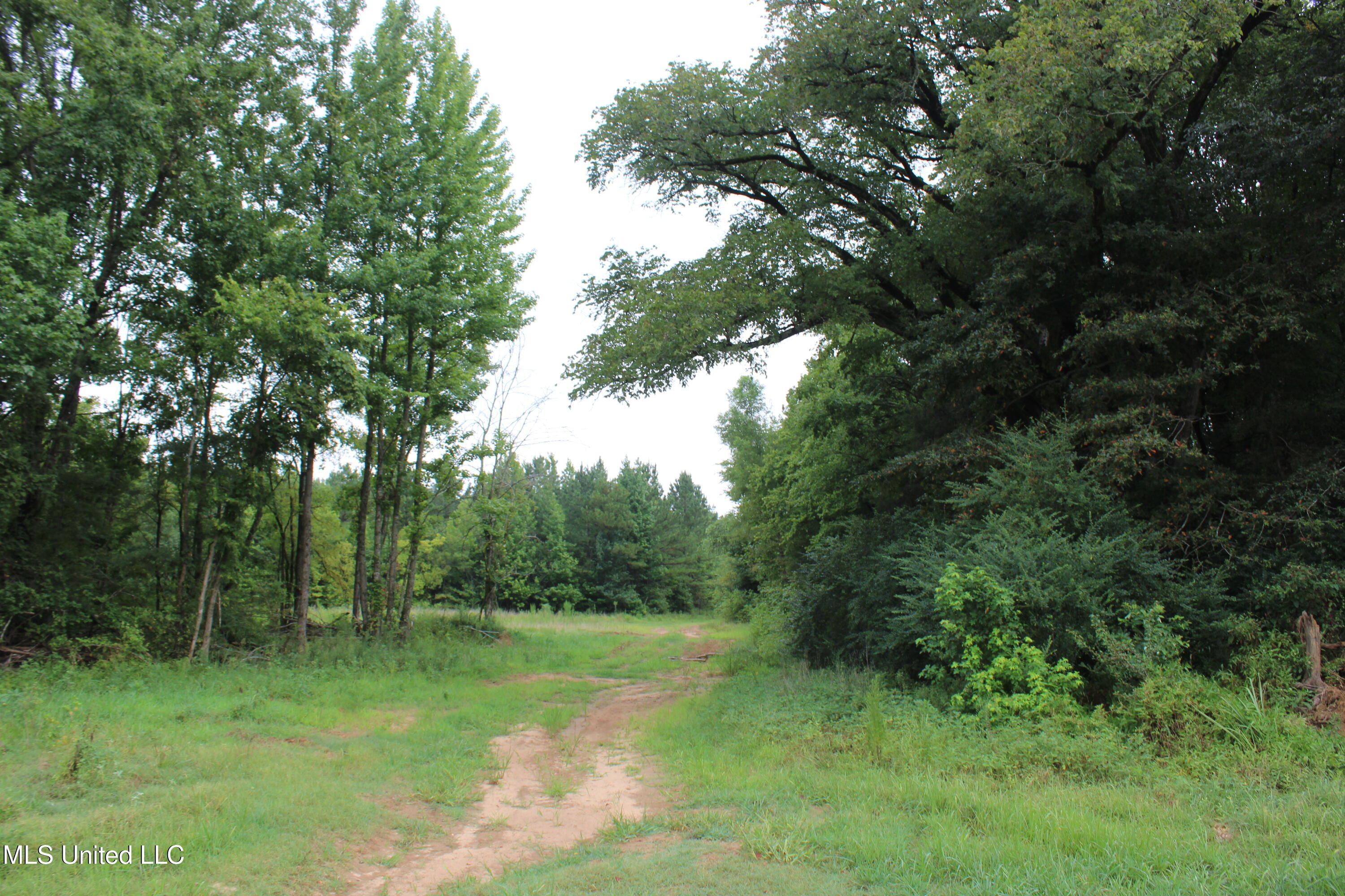 0 Edwards Road Byhalia, MS 38611 - Photo 27 of 27 IMG_6385