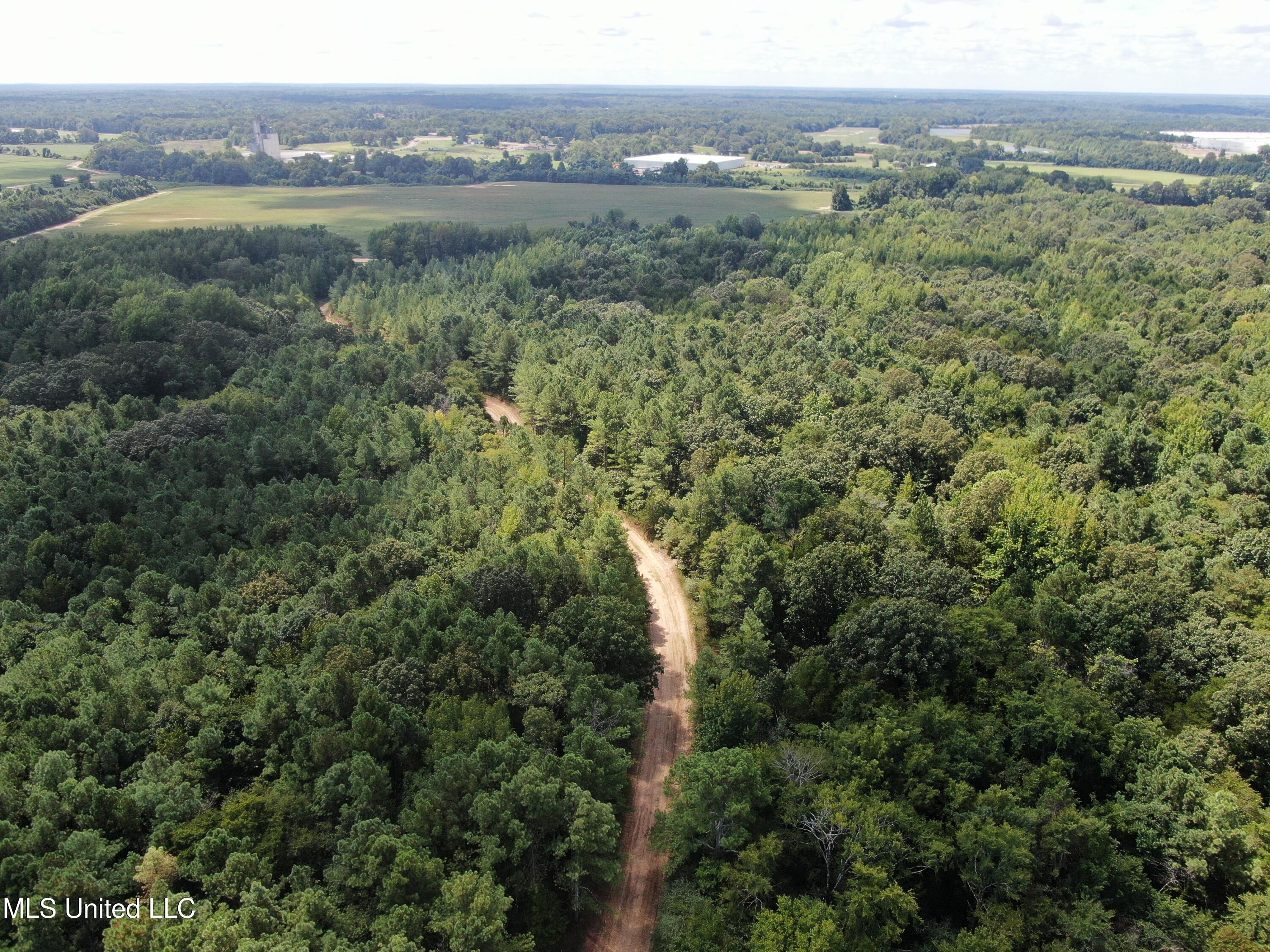 0 Edwards Road Byhalia, MS 38611 - Photo 3 of 27 DJI_0672