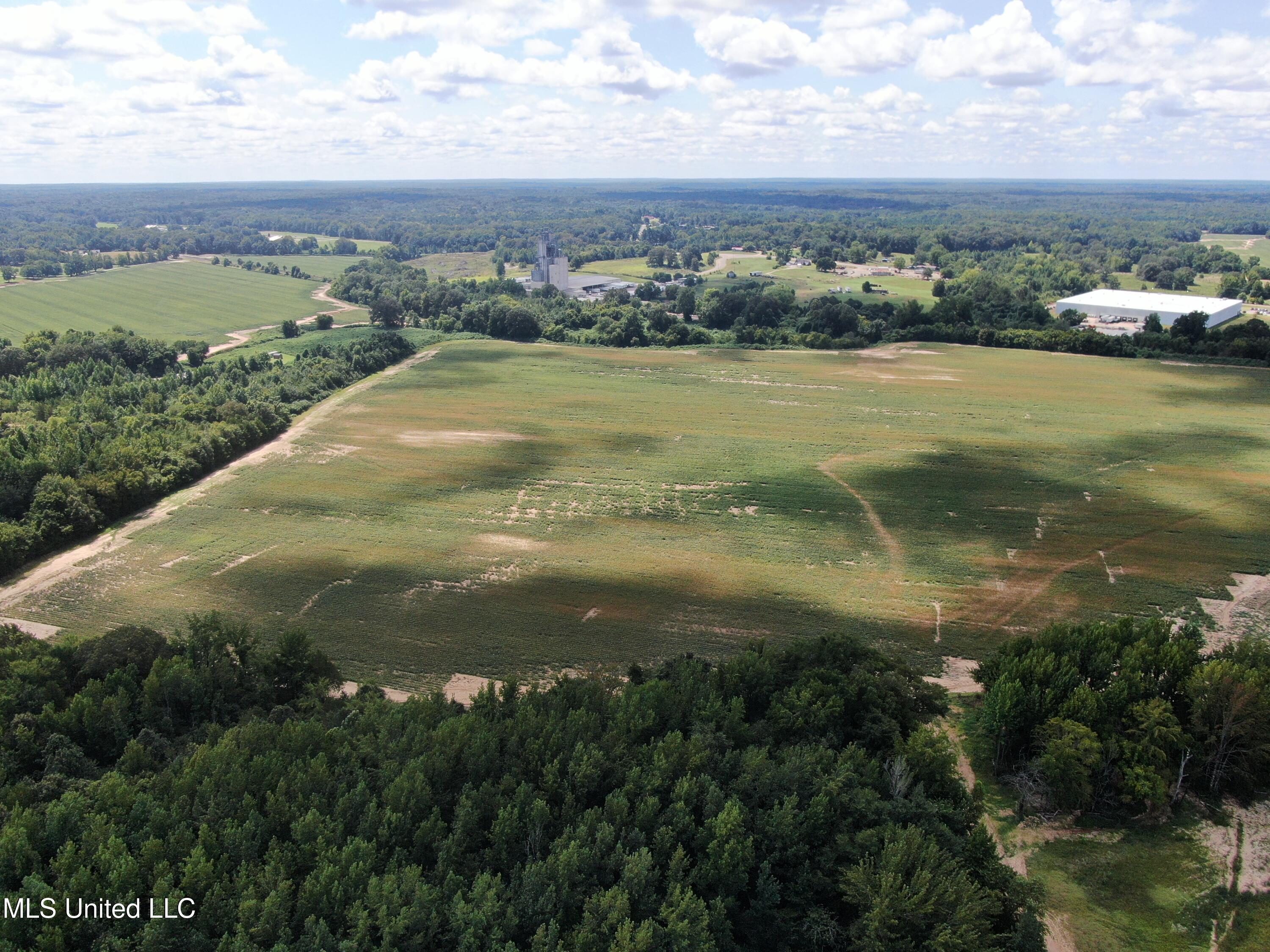 0 Edwards Road Byhalia, MS 38611 - Photo 5 of 27 DJI_0677