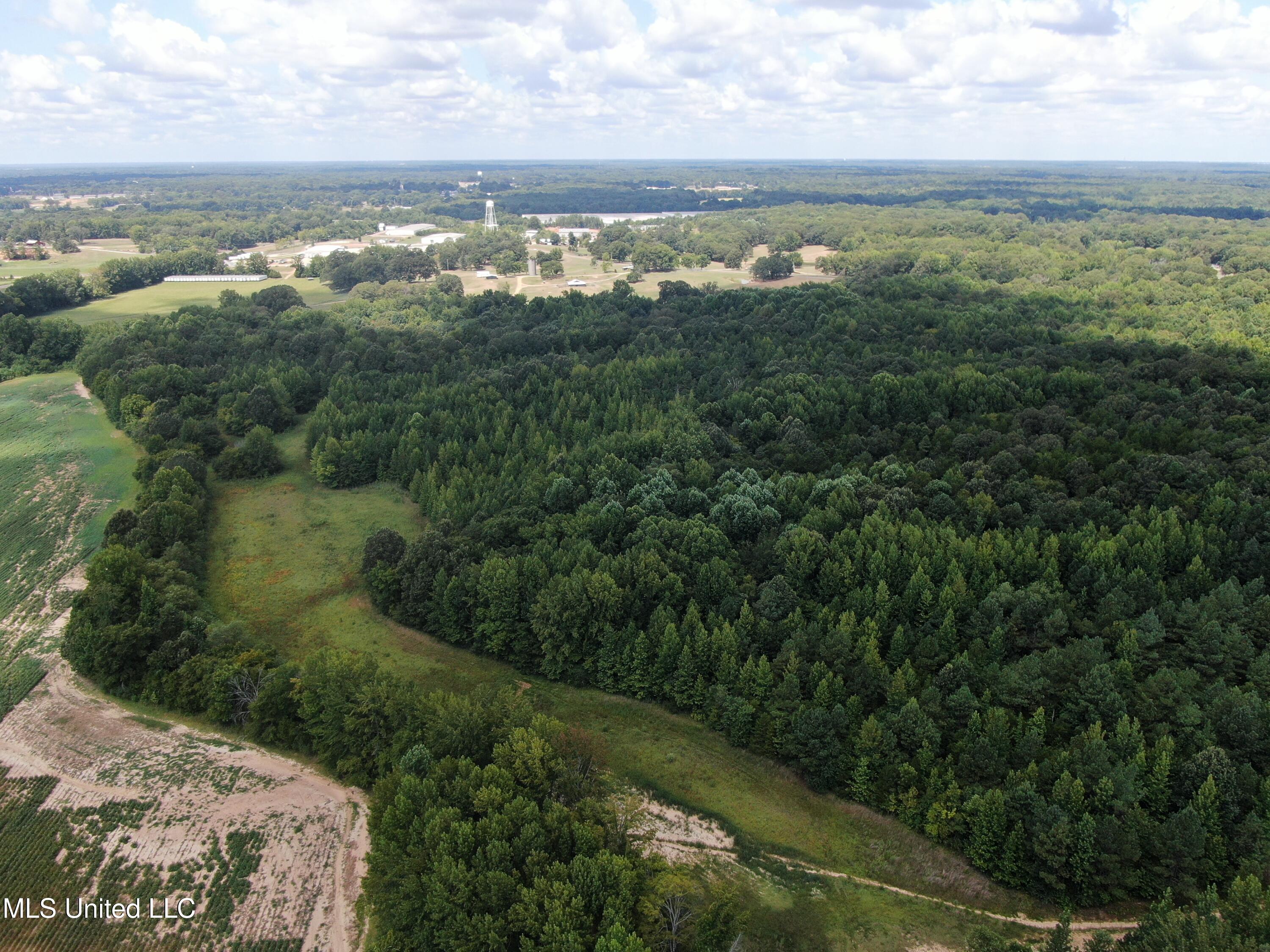 0 Edwards Road Byhalia, MS 38611 - Photo 6 of 27 DJI_0679