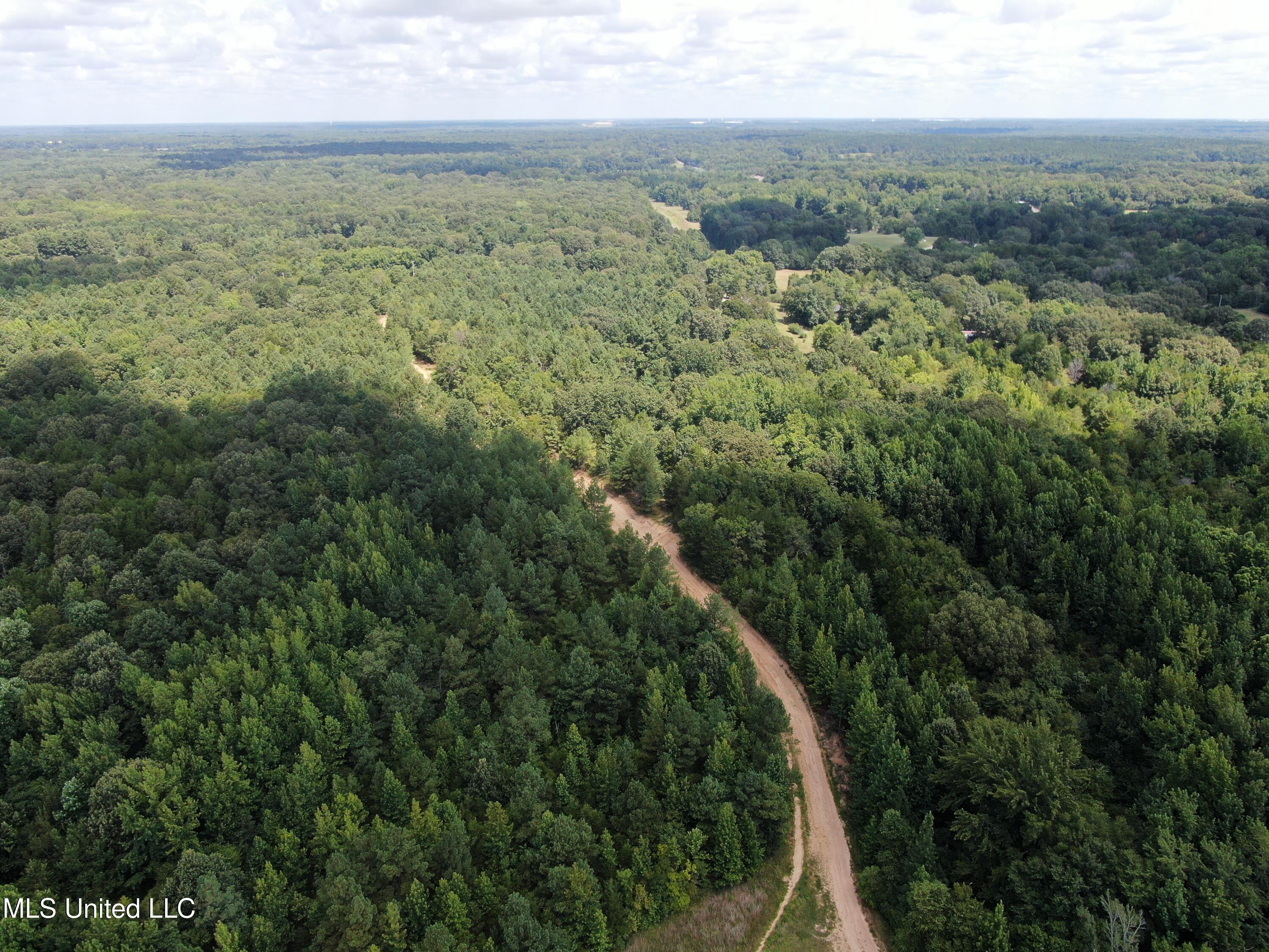 0 Edwards Road Byhalia, MS 38611 - Photo 7 of 27 DJI_0682