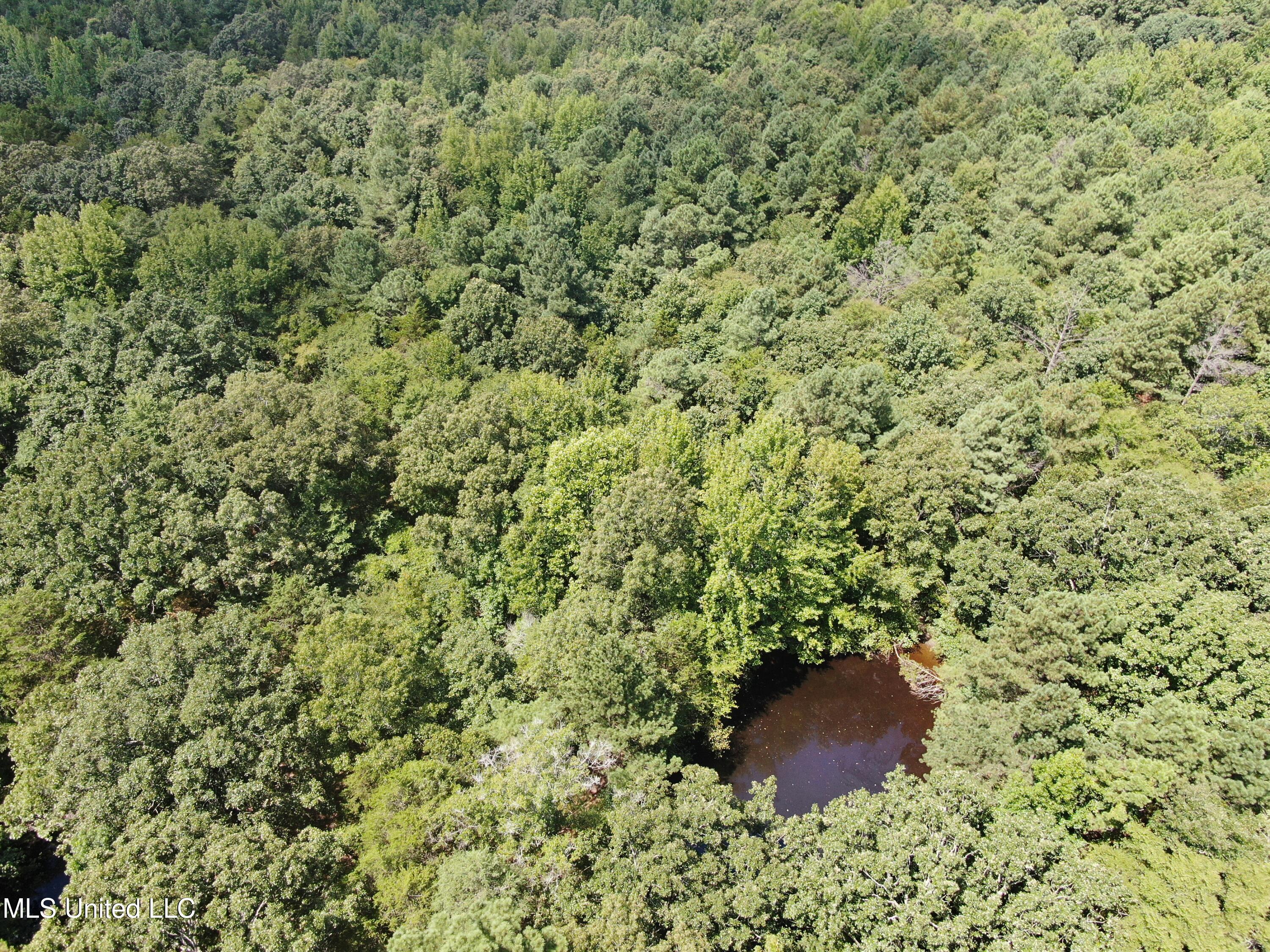 0 Edwards Road Byhalia, MS 38611 - Photo 8 of 27 DJI_0686