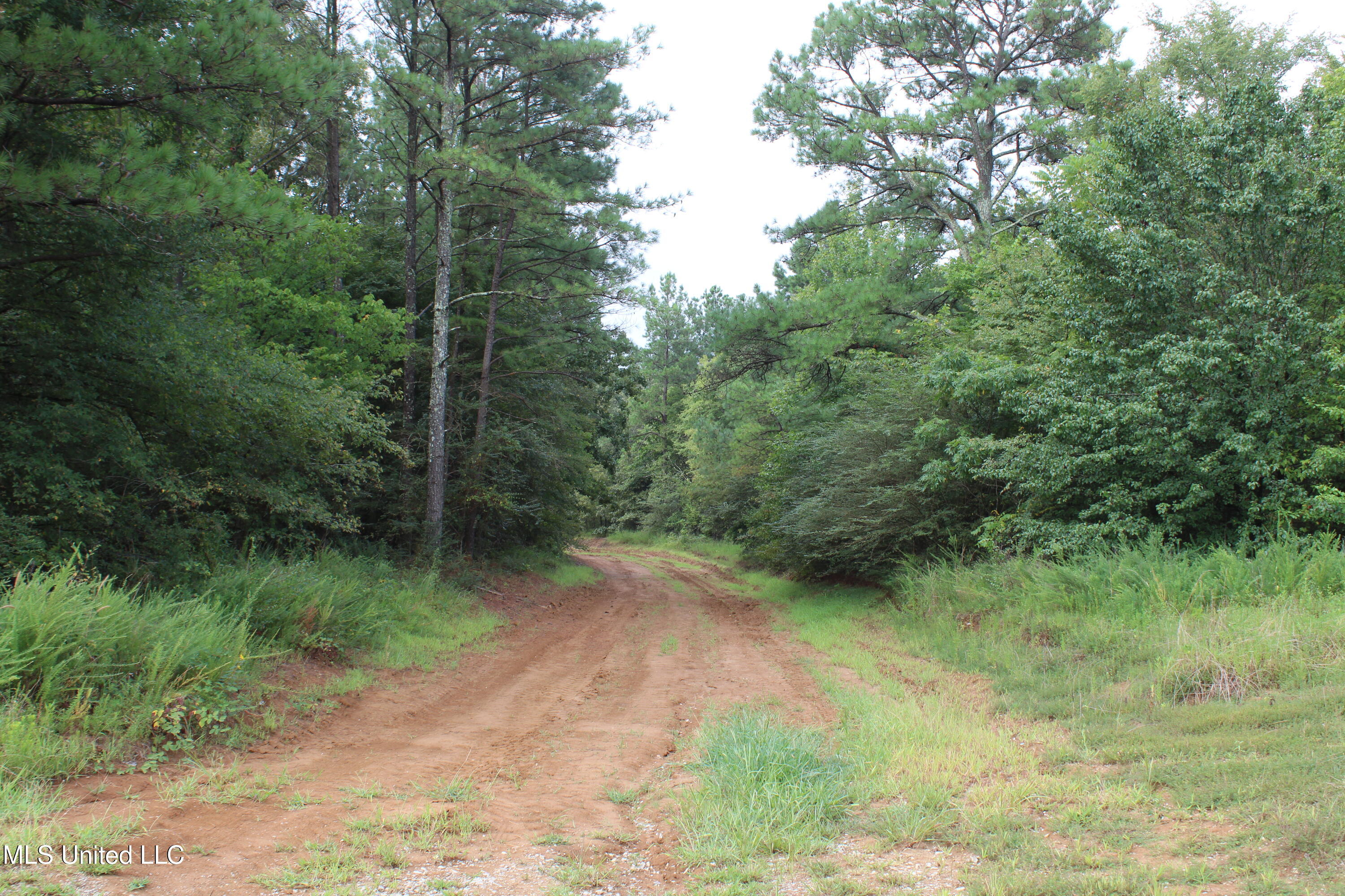 0 Edwards Road Byhalia, MS 38611 - Photo 9 of 27 IMG_6366