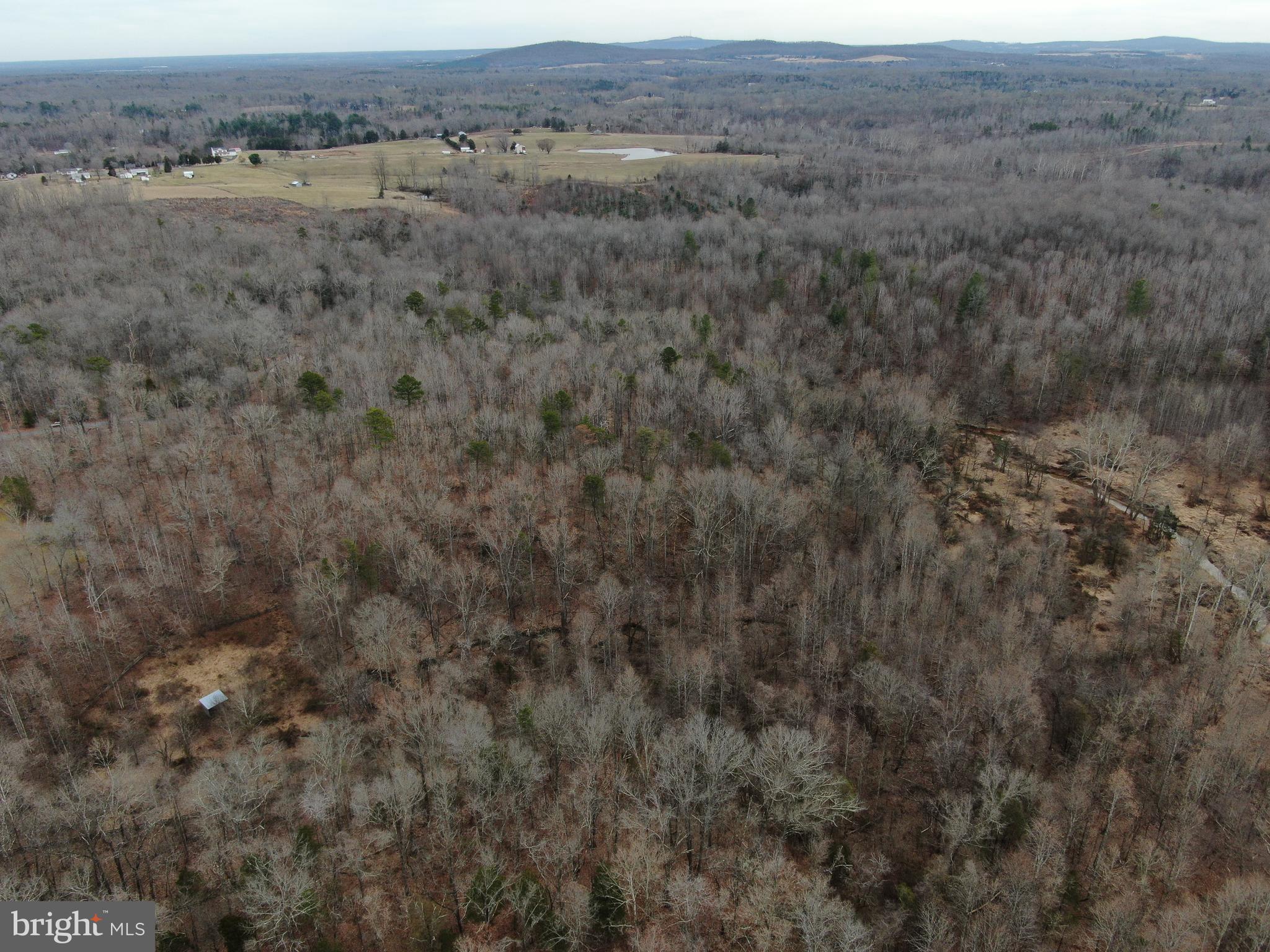 Crooked Run Road Remington, VA 22734 - Photo 12 of 18 The land below...