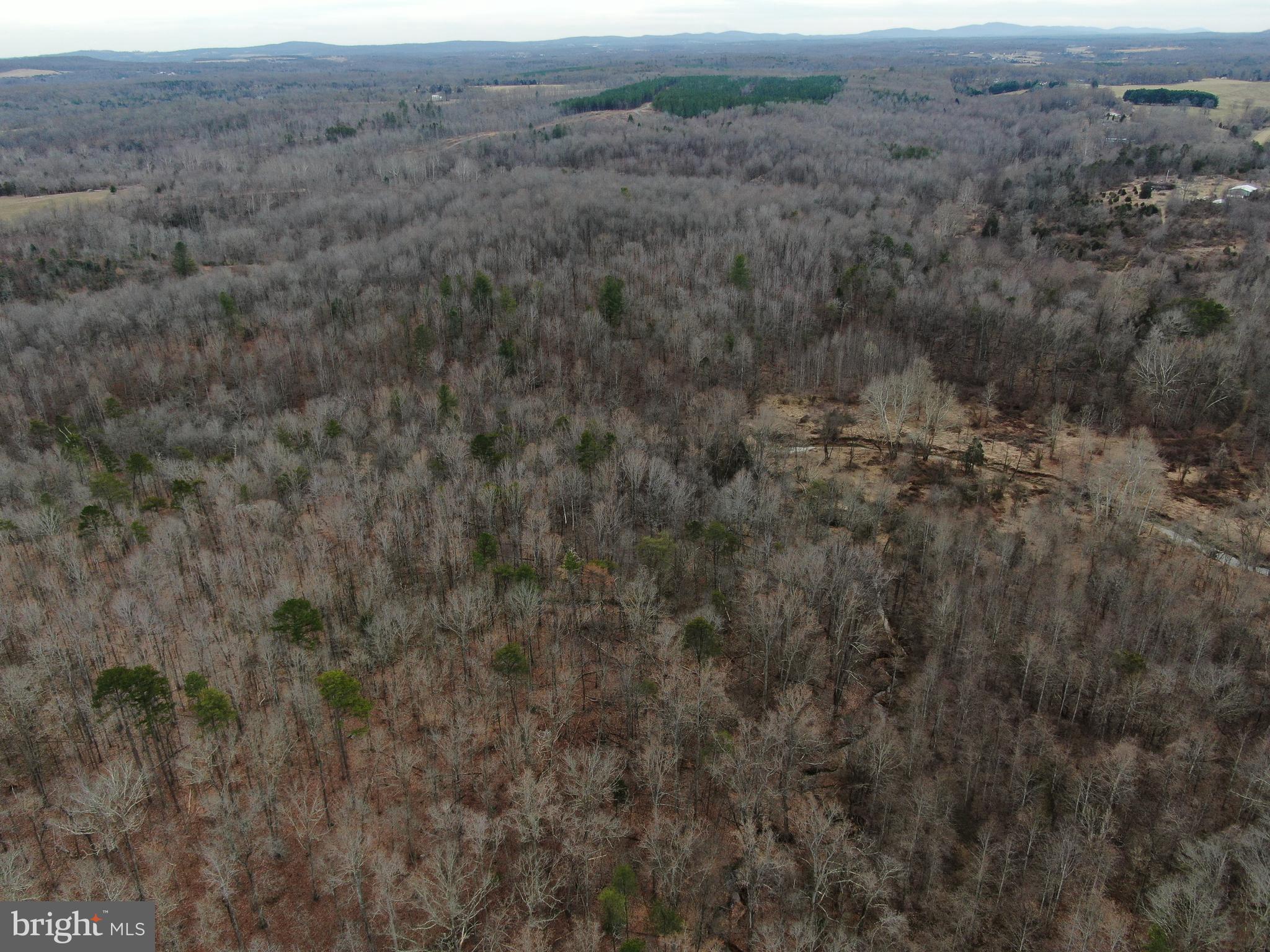 Crooked Run Road Remington, VA 22734 - Photo 14 of 18 Serene setting...