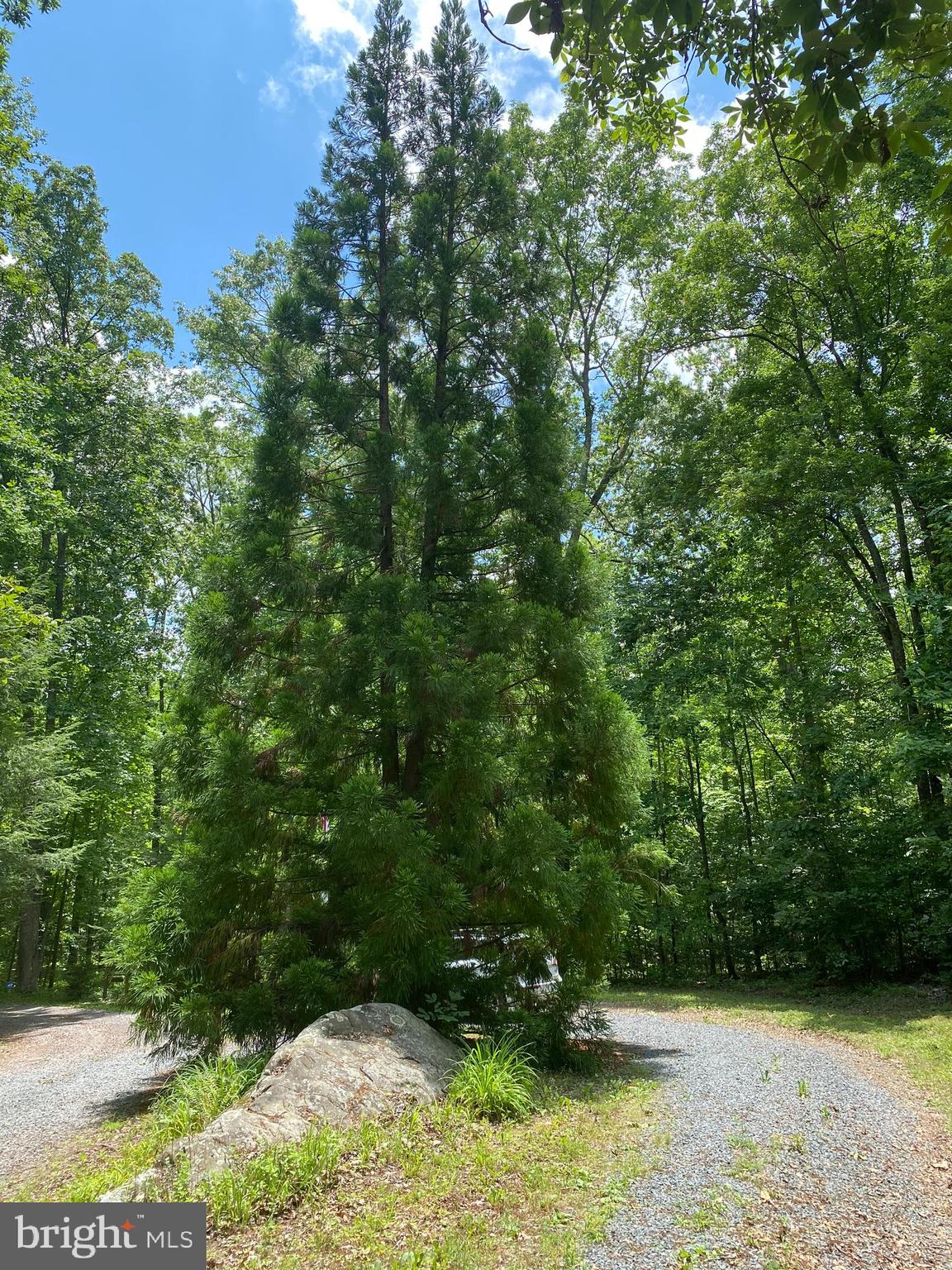Crooked Run Road Remington, VA 22734 - Photo 3 of 18 An evergreen rests in the center os the circle...