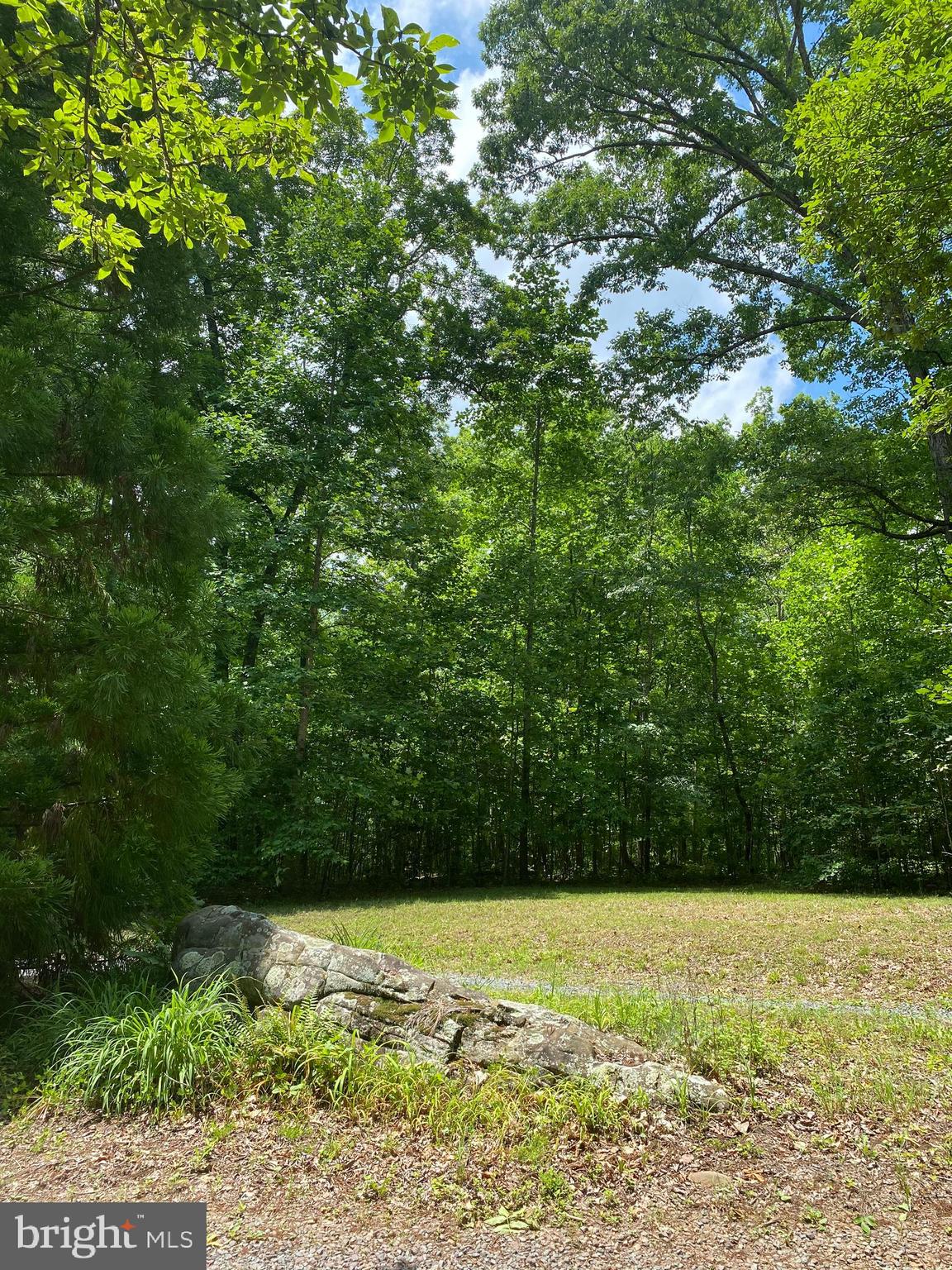 Crooked Run Road Remington, VA 22734 - Photo 4 of 18 A mountain rock welcomes you...