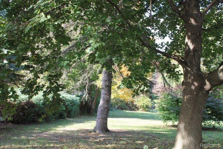 3666 Textile Road Ypsilanti, MI 48197 - Photo 3 of 15 Back acreage.JPG